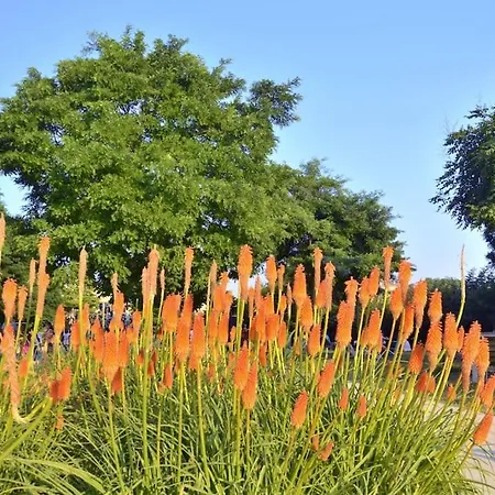 Apartment La Rose Et Le Reseda - Enjoy Space, The Terrace And The Eiffel Tower View 아파트